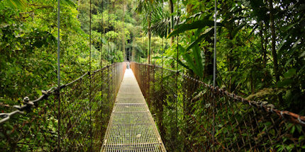 Walk across the cloud forest canopy in Monteverde